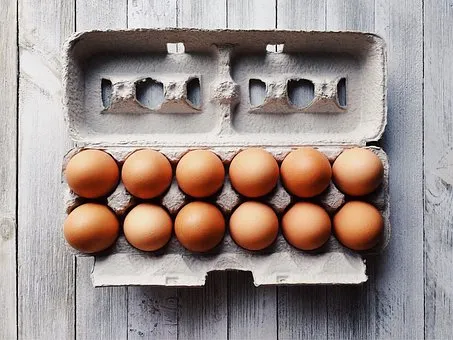 Free Range Eggs